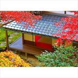 「京都・柳谷観音の「紅葉ウイーク」開催中！ライトアップや話題の花手水も」の画像4