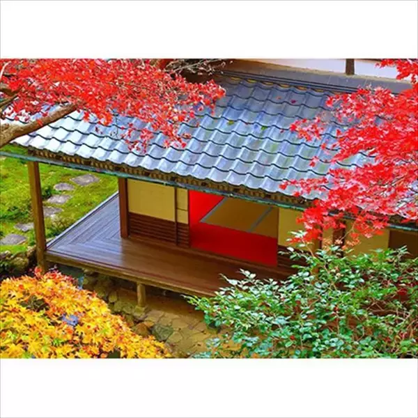 「京都・柳谷観音の「紅葉ウイーク」開催中！ライトアップや話題の花手水も」の画像