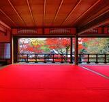 「京都・柳谷観音の「紅葉ウイーク」開催中！ライトアップや話題の花手水も」の画像5