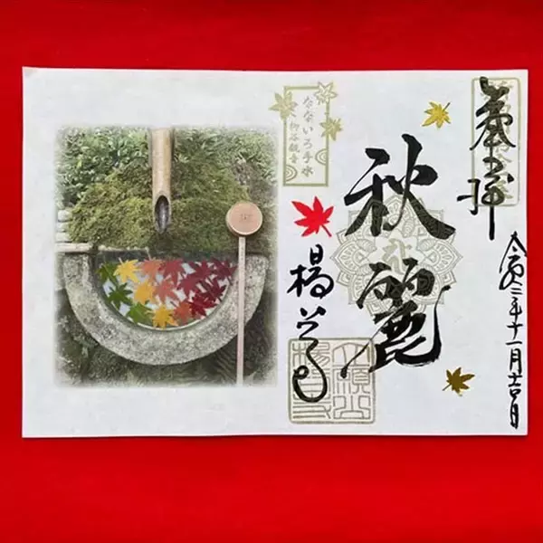「京都・柳谷観音の「紅葉ウイーク」開催中！ライトアップや話題の花手水も」の画像