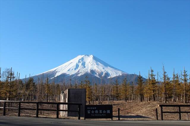 １１月２０日 今日は何の日 お出かけもお得になる 山梨県民の日 21年11月日 エキサイトニュース