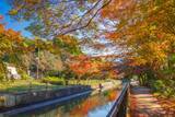 「京都のおすすめ観光穴場スポット10選！紅葉・絶景・パワースポット・美術館」の画像2
