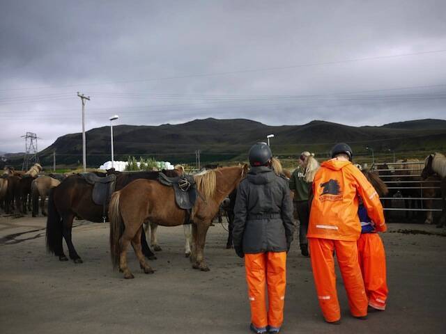 アイスランド かわいすぎる馬に乗って訪れる 温泉と大自然に癒される旅 16年4月13日 エキサイトニュース