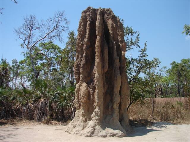 不思議絶景 世界の巨大蟻塚が面白すぎる 14年11月23日 エキサイトニュース 不思議絶景 世界の巨大蟻塚が面白すぎる 14年11月23日 エキサイトニュース