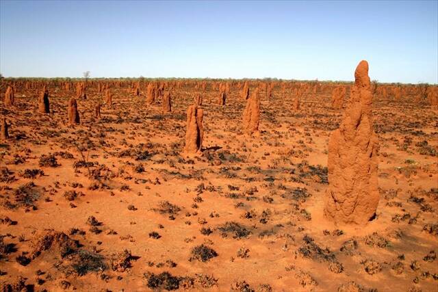 不思議絶景 世界の巨大蟻塚が面白すぎる 14年11月23日 エキサイトニュース