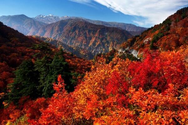 九頭竜湖 紅葉