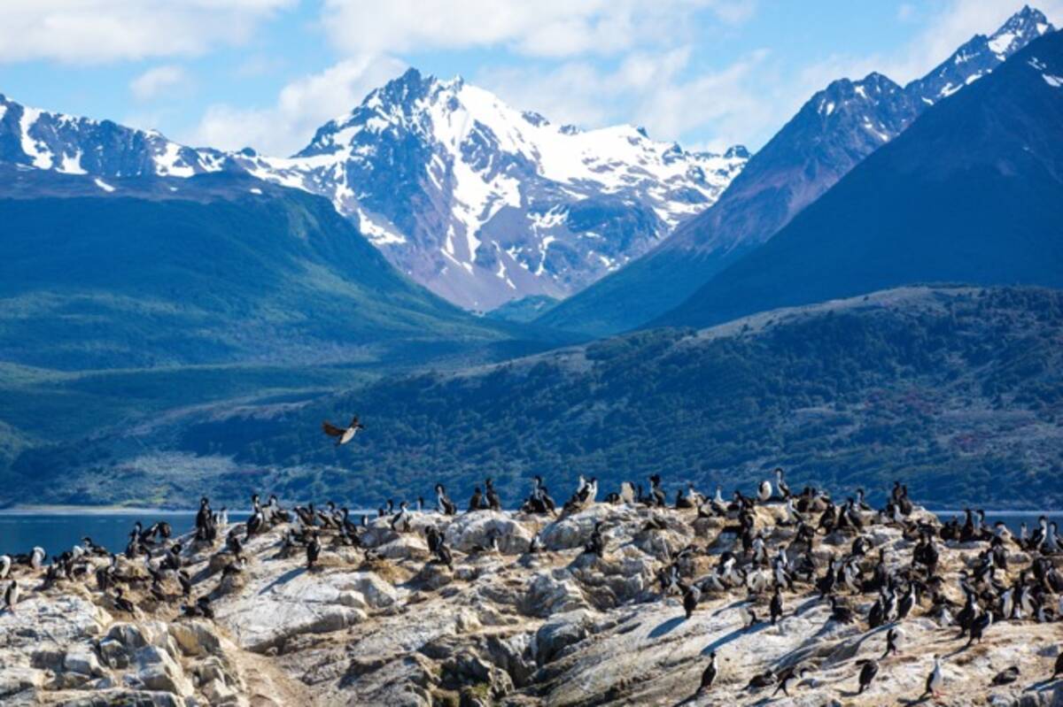 人が住む地球最北端と最南端の町へ アルゼンチンとノルウェーの旅 15年10月22日 エキサイトニュース