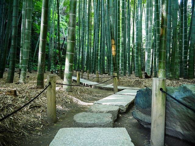 雨の日だから美しい 鎌倉の情緒あふれるお寺３選 15年6月19日 エキサイトニュース