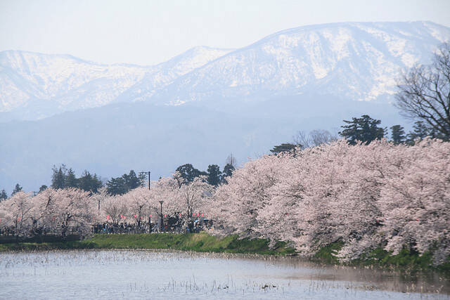 米メディアcnnが選んだ 世界の 花絶景 ５選 14年3月2日 エキサイトニュース