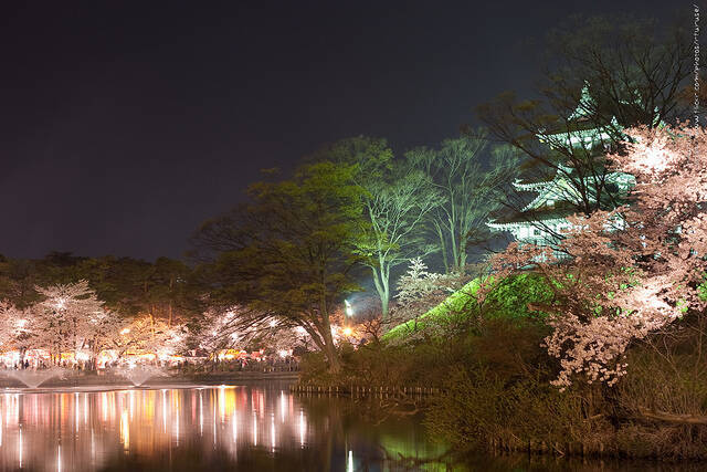 米メディアcnnが選んだ 世界の 花絶景 ５選 14年3月2日 エキサイトニュース