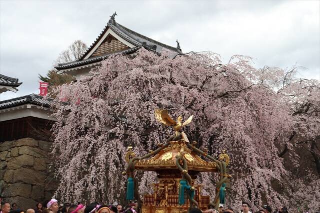 【上田城千本桜まつり】お花見・グルメ・温泉を楽しむ春旅！4月4日～12日まで開催｜長野県