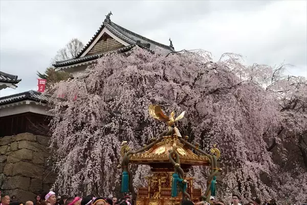 「【上田城千本桜まつり】お花見・グルメ・温泉を楽しむ春旅！4月4日～12日まで開催｜長野県」の画像