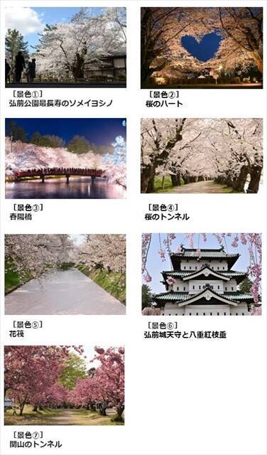青森県「弘前さくらまつり」4月19日～開催！ソメイヨシノのほかシダレザクラ・八重桜など