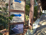 「日本に13羽しかいない「動かない鳥」ハシビロコウに会いに行く【島根県・松江】」の画像16