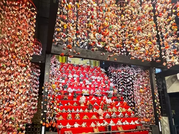 「【伊豆・稲取温泉 雛のつるし飾りまつり】河津桜とともに楽しむ春の先取り旅へ」の画像