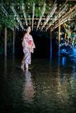「【世界遺産・上賀茂神社】京都の夏の夜を楽しむ「夏のライトアップ ～龍神詣りと足つけ夕涼み～」開催」の画像5