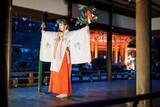 「【世界遺産・上賀茂神社】京都の夏の夜を楽しむ「夏のライトアップ ～龍神詣りと足つけ夕涼み～」開催」の画像6