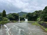 「【佐賀県・嬉野温泉】2月19日まで50％オフ！滝サウナが楽しめるキャンプ場がプレオープン」の画像1