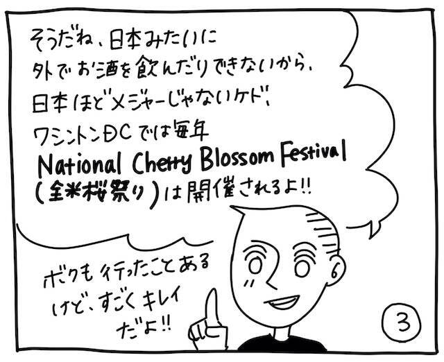 新文化ギャップ漫画【６８】お花見 問題「アメリカのお花見って？」