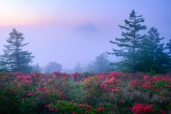 「【佐藤友也 Web個展『トワイライト』】この時間だけの空の色｜第一回「#旅心フォトコンテスト by TABIZINE」大賞受賞記念」の画像