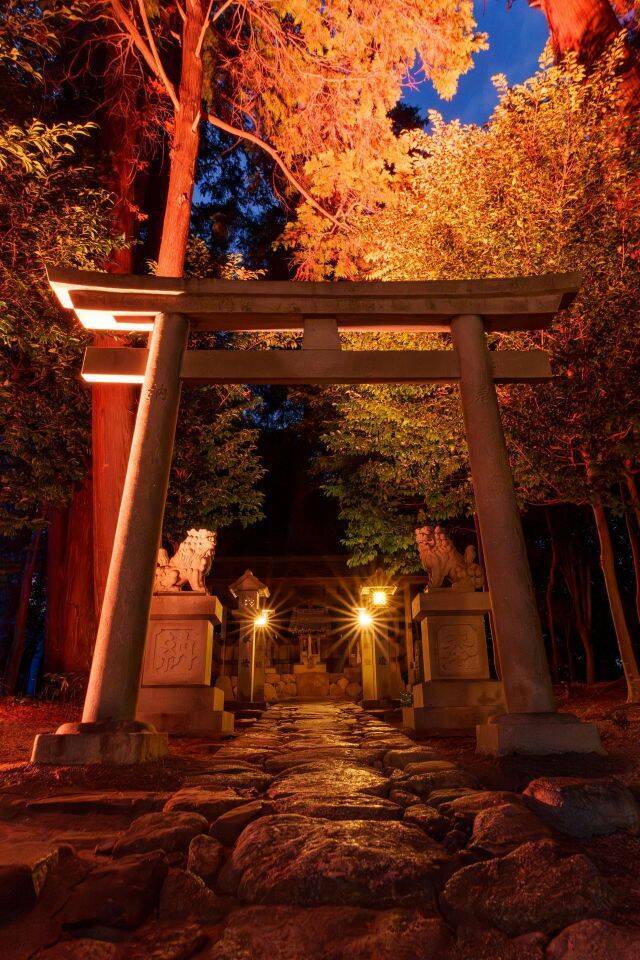 【滋賀・立志（りゅうし）神社でライトアップ開催中】元日から初詣限定の御朱印も頒布スタート