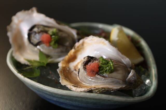 【隠岐の春を祝う】搾りたて大吟醸と岩牡蠣の初出しも！3月1日「勝手に、島びらき。2026」開催｜島根県・隠岐諸島