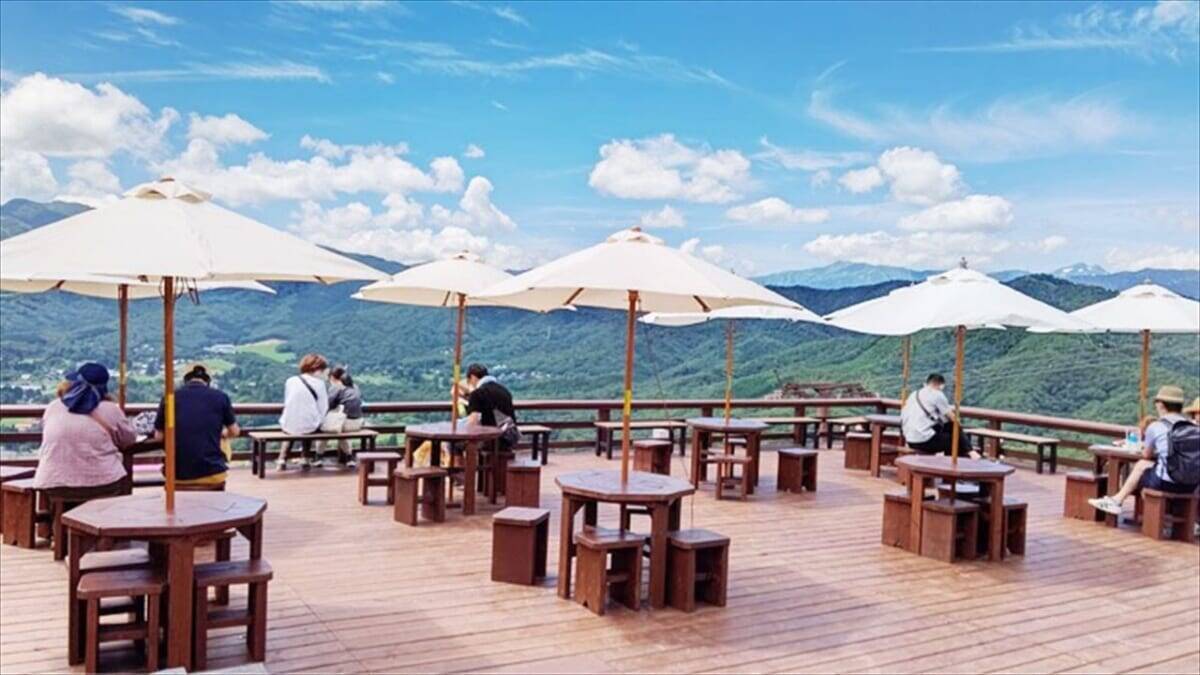 【岐阜県】約2万5千株のベゴニア畑が広がる「ひるがのピクニックガーデン」オープン！アクティビティや絶景カフェも