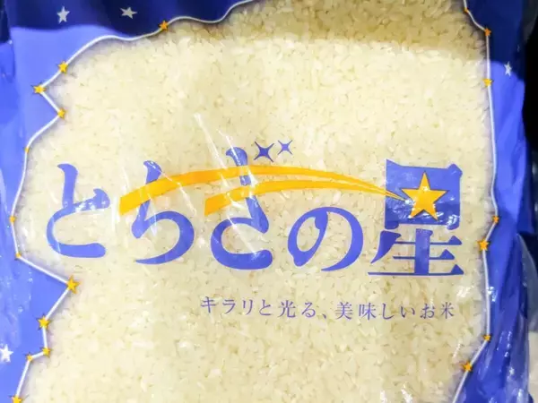 「【暑さに強い！栃木県産ブランド米「とちぎの星」】U字工事さんがオーケーで魅力をPR」の画像