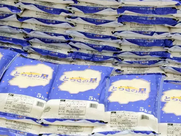 「【暑さに強い！栃木県産ブランド米「とちぎの星」】U字工事さんがオーケーで魅力をPR」の画像