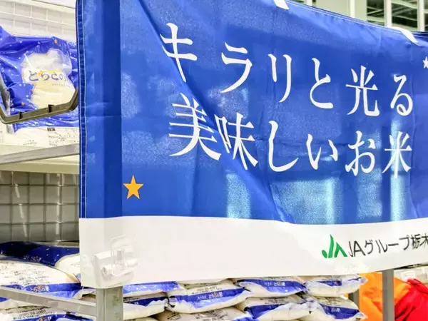 「【暑さに強い！栃木県産ブランド米「とちぎの星」】U字工事さんがオーケーで魅力をPR」の画像