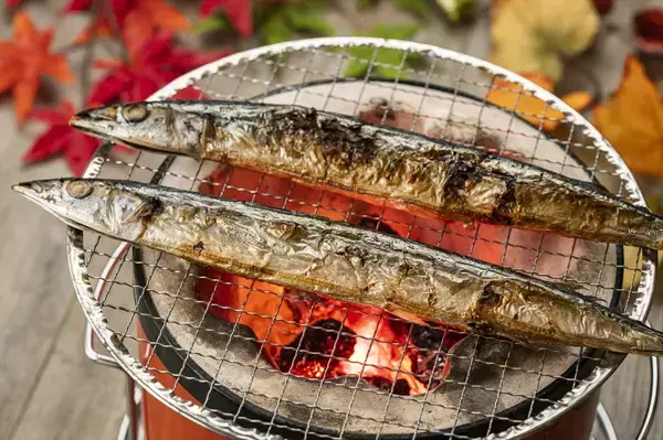 【6年ぶりに“さんま炭火焼き”復活】札幌・北海道庁赤れんが庁舎で「まるごと根室直送市」開催！