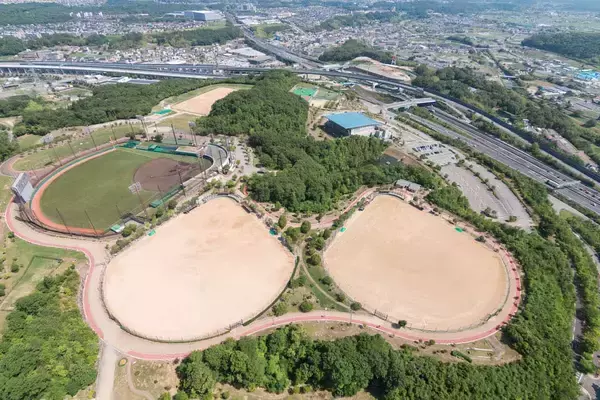 「【関西2026年版】手持ち花火ができるスポット14選！していい時間や注意事項も紹介」の画像