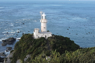 【佐田岬体験博2026】四国最西端でここだけの体験を！伊勢海老・養蜂・秋祭りなど30のプログラムあり｜愛媛県