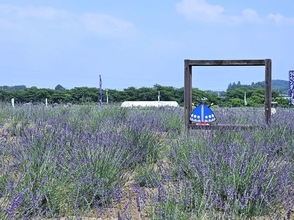 【埼玉・らんざんラベンダーまつり】つみとり体験やラベンダーグルメも楽しめる！6月13日より開催