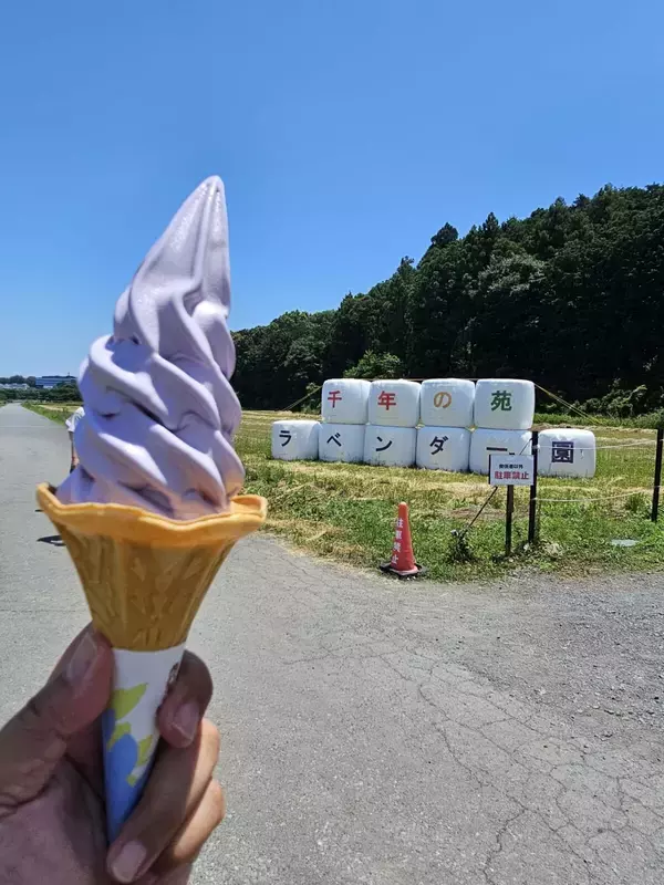 「【埼玉・らんざんラベンダーまつり】つみとり体験やラベンダーグルメも楽しめる！6月13日より開催」の画像