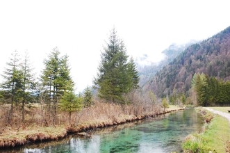 【ドイツ現地取材特集２】バイエルンで森と水に癒されるウォーキング体験を