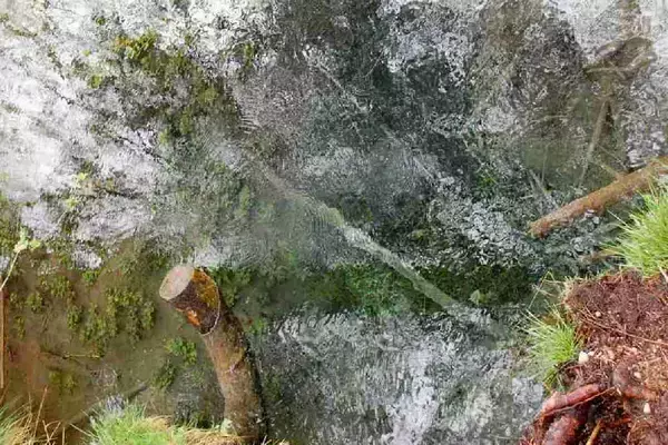 「【ドイツ現地取材特集２】バイエルンで森と水に癒されるウォーキング体験を」の画像