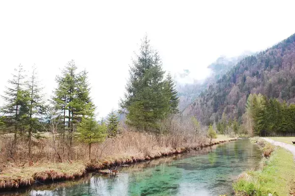 「【ドイツ現地取材特集２】バイエルンで森と水に癒されるウォーキング体験を」の画像