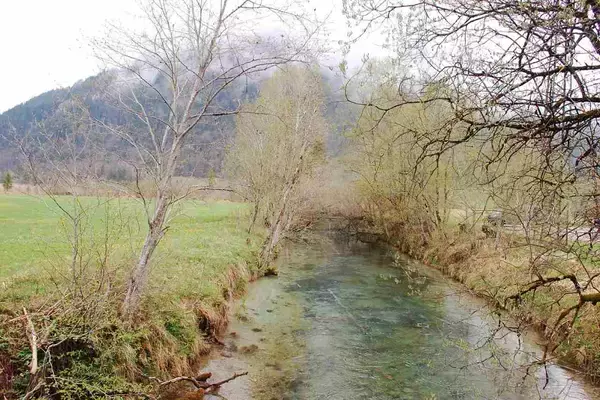 「【ドイツ現地取材特集２】バイエルンで森と水に癒されるウォーキング体験を」の画像