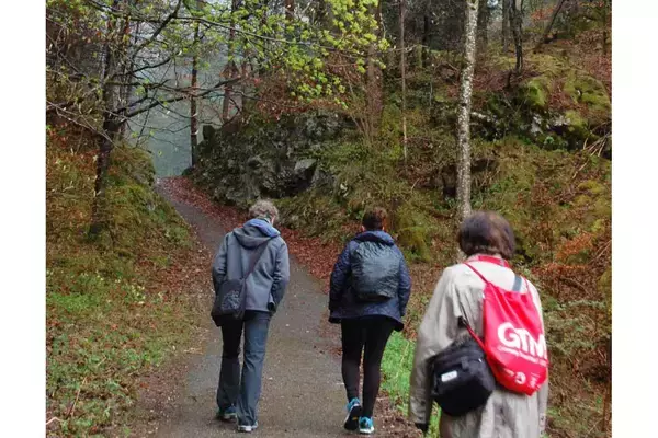 「【ドイツ現地取材特集２】バイエルンで森と水に癒されるウォーキング体験を」の画像