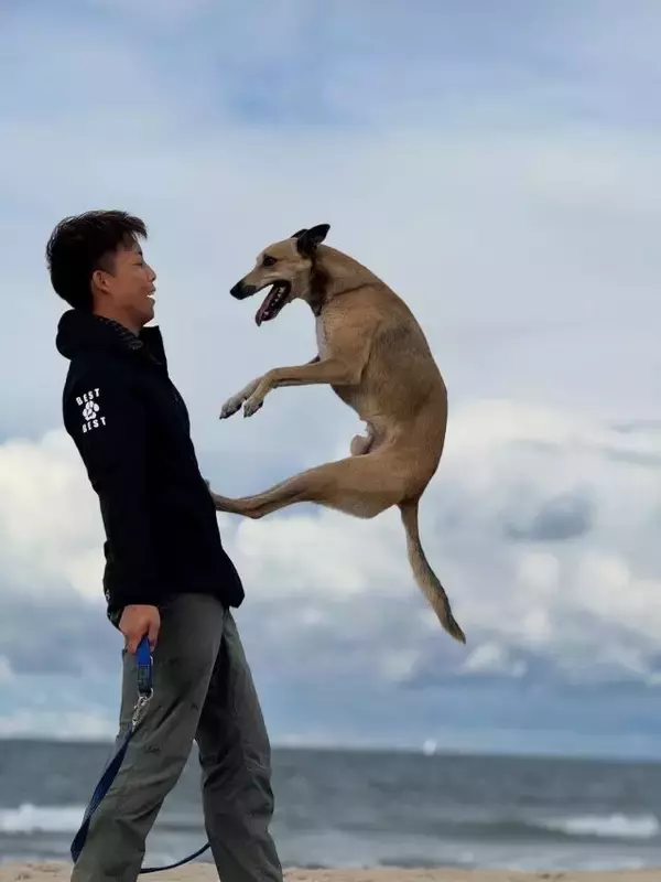 「【入場無料】愛犬と1日中楽しめる「第2回 Happy！ワンDays フェスタ」開催｜栃木県・那須ガーデンアウトレット」の画像