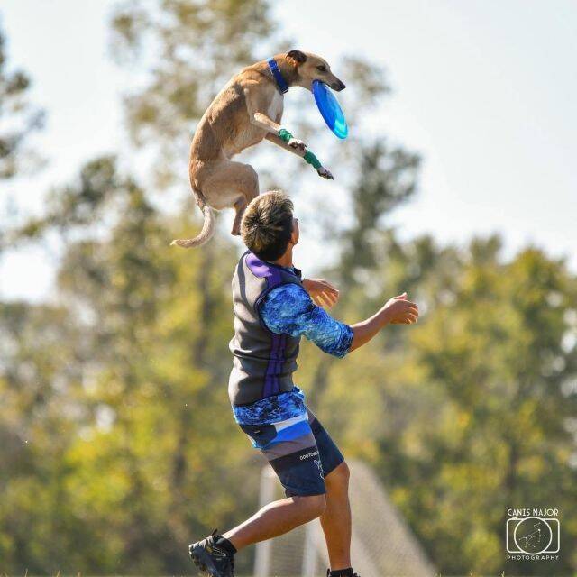 【入場無料】愛犬と1日中楽しめる「第2回 Happy！ワンDays フェスタ」開催｜栃木県・那須ガーデンアウトレット