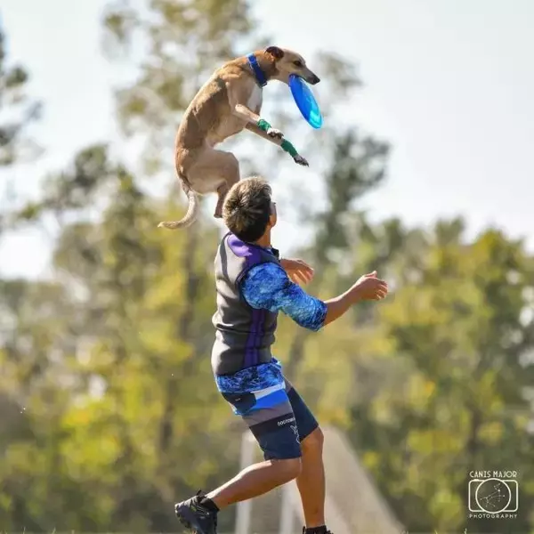 「【入場無料】愛犬と1日中楽しめる「第2回 Happy！ワンDays フェスタ」開催｜栃木県・那須ガーデンアウトレット」の画像