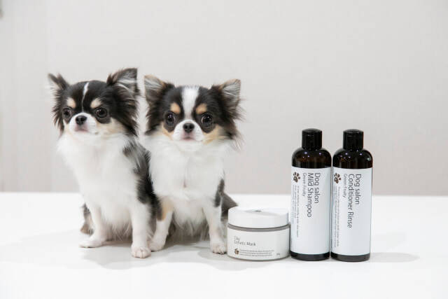 【入場無料】愛犬と1日中楽しめる「第2回 Happy！ワンDays フェスタ」開催｜栃木県・那須ガーデンアウトレット