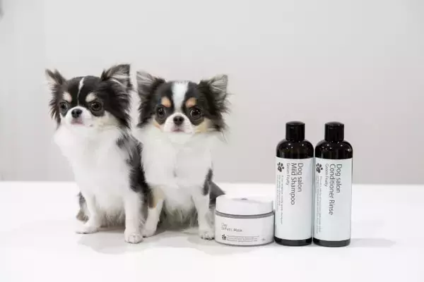 「【入場無料】愛犬と1日中楽しめる「第2回 Happy！ワンDays フェスタ」開催｜栃木県・那須ガーデンアウトレット」の画像