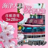 「【日本さくら名所100選・海津大崎へのお花見クルーズ】上陸して桜並木の散策もできる｜滋賀県」の画像5