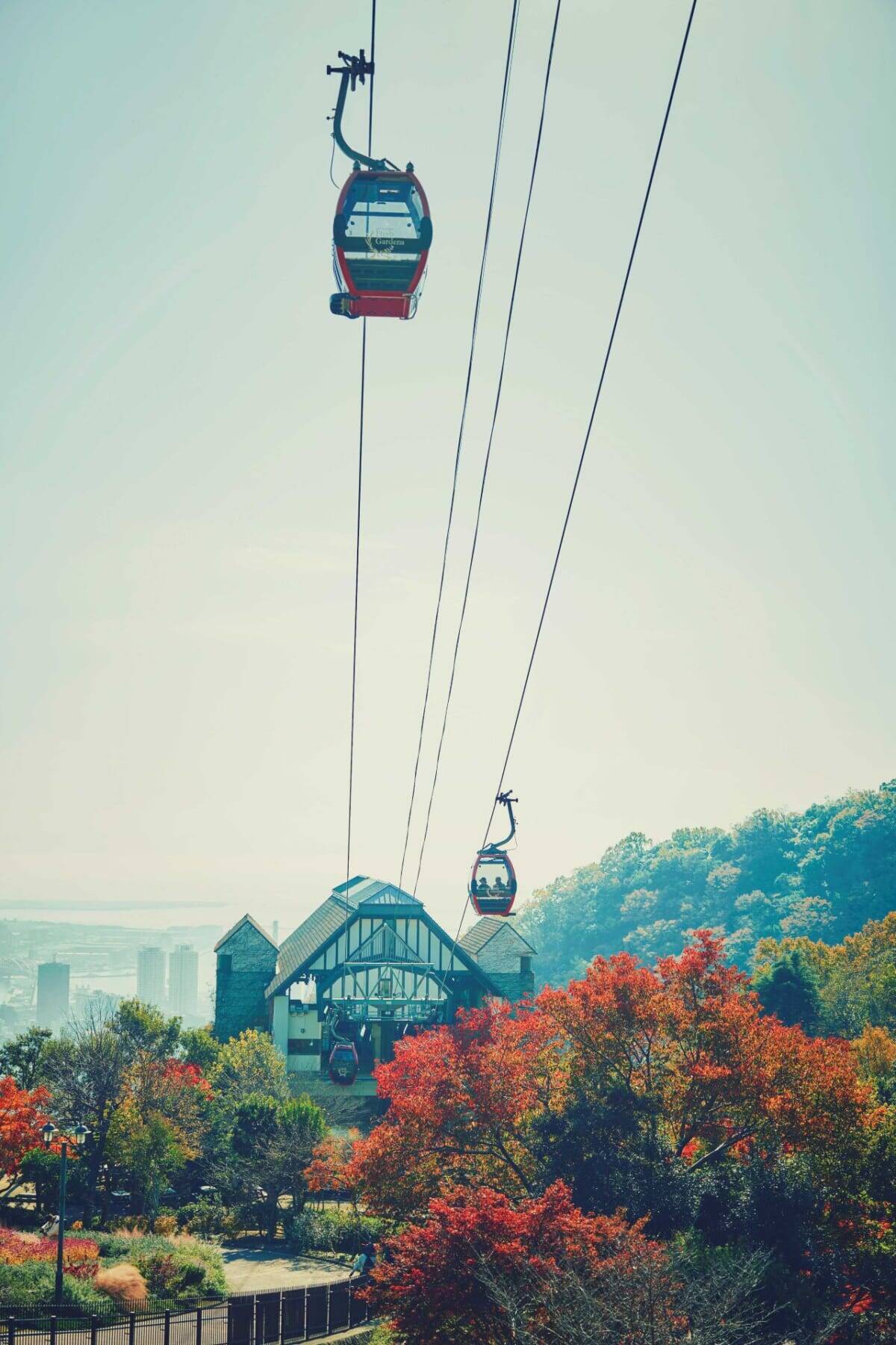 紅葉ライトアップとクリスマスイルミネーションを同時に楽しむ！約150mのモミジ回廊も｜神戸布引ハーブ園