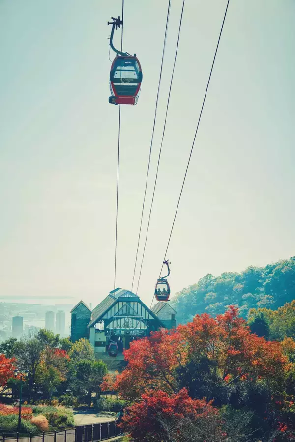 「紅葉ライトアップとクリスマスイルミネーションを同時に楽しむ！約150mのモミジ回廊も｜神戸布引ハーブ園」の画像