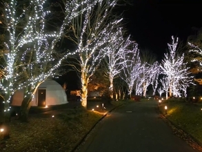 【4万球のLEDが灯るイルミネーションナイト】宿泊料金25％OFFプランもあり！｜グランピングリゾート ブリリアントヴィレッジ日光