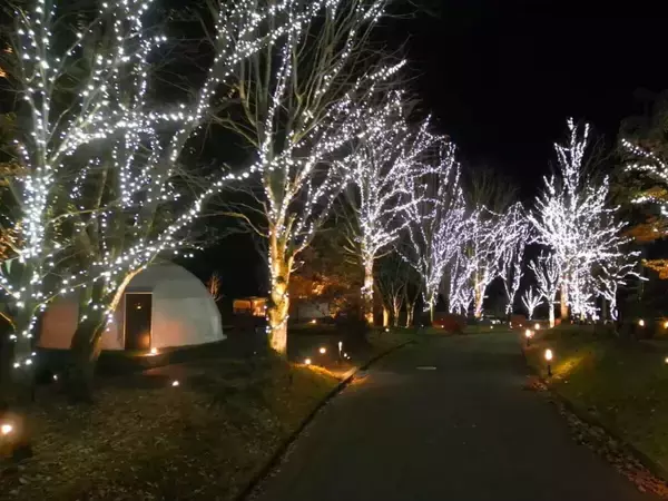 【4万球のLEDが灯るイルミネーションナイト】宿泊料金25％OFFプランもあり！｜グランピングリゾート ブリリアントヴィレッジ日光